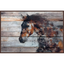 Rustic Brown and Gray Horse Canvas Print in Floater Frame