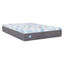 Sealy Dreamlife 12" Full Gel Memory Foam Hybrid Mattress