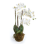 30" White Handcrafted Phalaenopsis Orchid in Decorative Pot