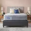 Queen 13" Plush Hybrid Gel Memory Foam Mattress