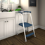 COSCO 2-Step Navy Steel Folding Kitchen Step Stool