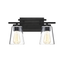 Calhoun Black 2-Light Bathroom Vanity Fixture with Clear Glass Shades