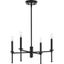 Elara Matte Black 4-Light Steel Chandelier with Clear Glass Shades