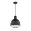 Satin Black Glass LED Indoor/Outdoor Bowl Pendant Light