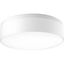 Maier 18" White Glass LED Flush Mount Light