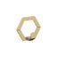 Champagne Bronze Hexagonal Single Prong Decorative Wall Hook