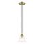 Transitional Hand-Blown Clear Glass Pendant in Antique Brass