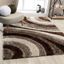 Brown and Beige Geometric Shag Area Rug 5' x 7'