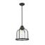 Matte Black and Seedy Glass Industrial Pendant Light