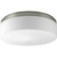 Maier 14" Brushed Nickel LED Flush Mount Light