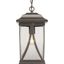 Antique Bronze Outdoor Hanging Lantern with Clear Seeded Glass