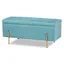 Sky Blue Velvet and Gold Metal Storage Bench