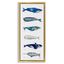 Maritime Sea Life Chart Canvas Print with Gold Frame, 11" x 25"