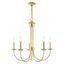 Elegant Polished Brass 5-Light Traditional Chandelier