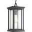 Endicott Black Glass Outdoor Hanging Lantern with Linen Shade