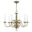 Antique Brass 6-Light Traditional Chandelier with Steel Frame