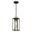 Walker Hill 15" Vintage-Style Outdoor Pendant in Oil Rubbed Bronze with Clear Glass