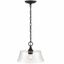 Caily Matte Black 11.5" Glass Pendant Light