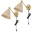 Oswynn Brass and Rattan 15" Plug-In Wall Sconce Set