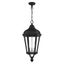 Elegant Morgan Textured Black 3-Light Outdoor Pendant with Clear Glass