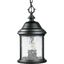 Ashmore Textured Black 3-Light Outdoor Hanging Lantern with Water Seeded Glass