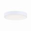 White Aluminum LED Indoor/Outdoor Flush Mount Light