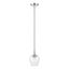 Transitional Brushed Nickel 1-Light Pendant with Clear Glass Shade