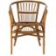 Honey Brown Wash Rattan Accent Chair Set, Sustainably Sourced