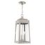 Oslo Brushed Nickel 3-Light Indoor/Outdoor Pendant with Clear Glass