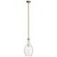 Elegant Everly Brass Mini-Pendant with Clear Glass Shade