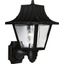 Black Energy Star Outdoor Wall Lantern with Clear Acrylic Panels