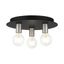 Hillview Black and Nickel 3-Light Flush Mount Ceiling Fixture