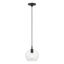 Aldrich Mini Indoor/Outdoor Pendant with Clear Glass & Brushed Nickel Accent