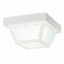 White Frosted Glass 8.5" Outdoor Flush Mount Light