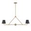 Xavier Gold and Black Steel 2-Light Chandelier