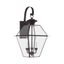 Charleston Elegance Bronze Outdoor Lantern with Clear Beveled Glass