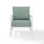 Mist and White Kaplan Transitional Outdoor Armchair with Cushions