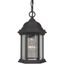 Matte Black Aluminum 1-Light Outdoor Pendant with Clear Glass