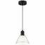 Port Nine Seeded Glass Martini LED Pendant in Matte Black