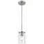 Brushed Nickel Glass 1-Light Pendant