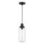 Black and Brushed Nickel Mini Pendant with Clear Glass Shade