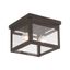 Milford Bronze Finish 2-Light Flush Mount with Clear Glass