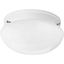 White Glass LED Flush Mount Ceiling Light