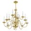 Williamsburgh Polished Brass 12-Light Colonial Chandelier