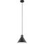 Zailey Black Glass 10.75" Indoor/Outdoor Pendant Light