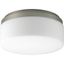 Maier 9" Brushed Nickel LED Flush Mount with Glass Shade