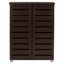 Adalwin Dark Brown 2-Door Wooden Shoe Storage Cabinet