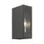 Winfield Textured Black & Brushed Nickel 2-Light Outdoor Wall Sconce