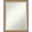 Elegant Brushed Bronze Rectangular Vanity Wall Mirror 21" x 27"