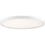 Fresco White Glass LED Indoor/Outdoor Flush Mount Light